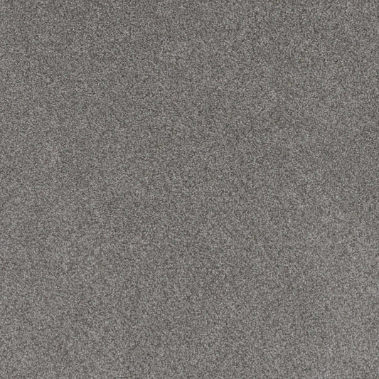 Beach Club III in Palazzo Carpet