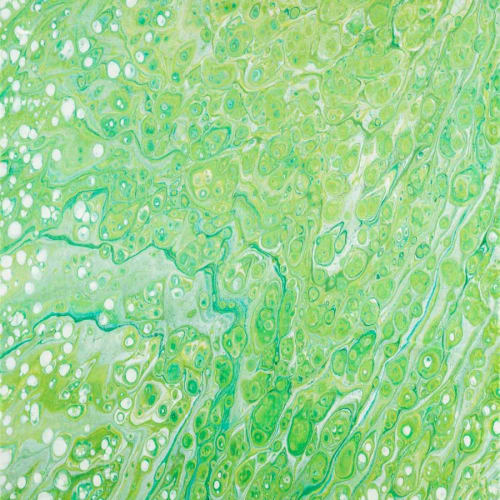 Kikiamo-Lime-In-KK5 in Lime In