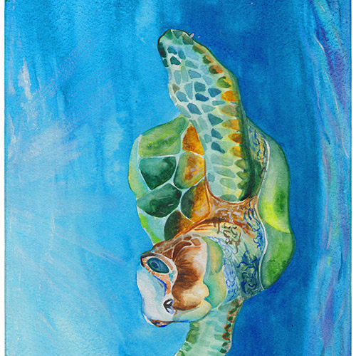 Harbor-Ocean-HA3 in Ocean