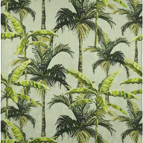 Tropics-Aloe-TC10 in Aloe