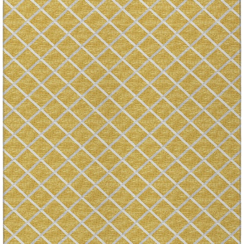 York-Gold-YO1 in Gold