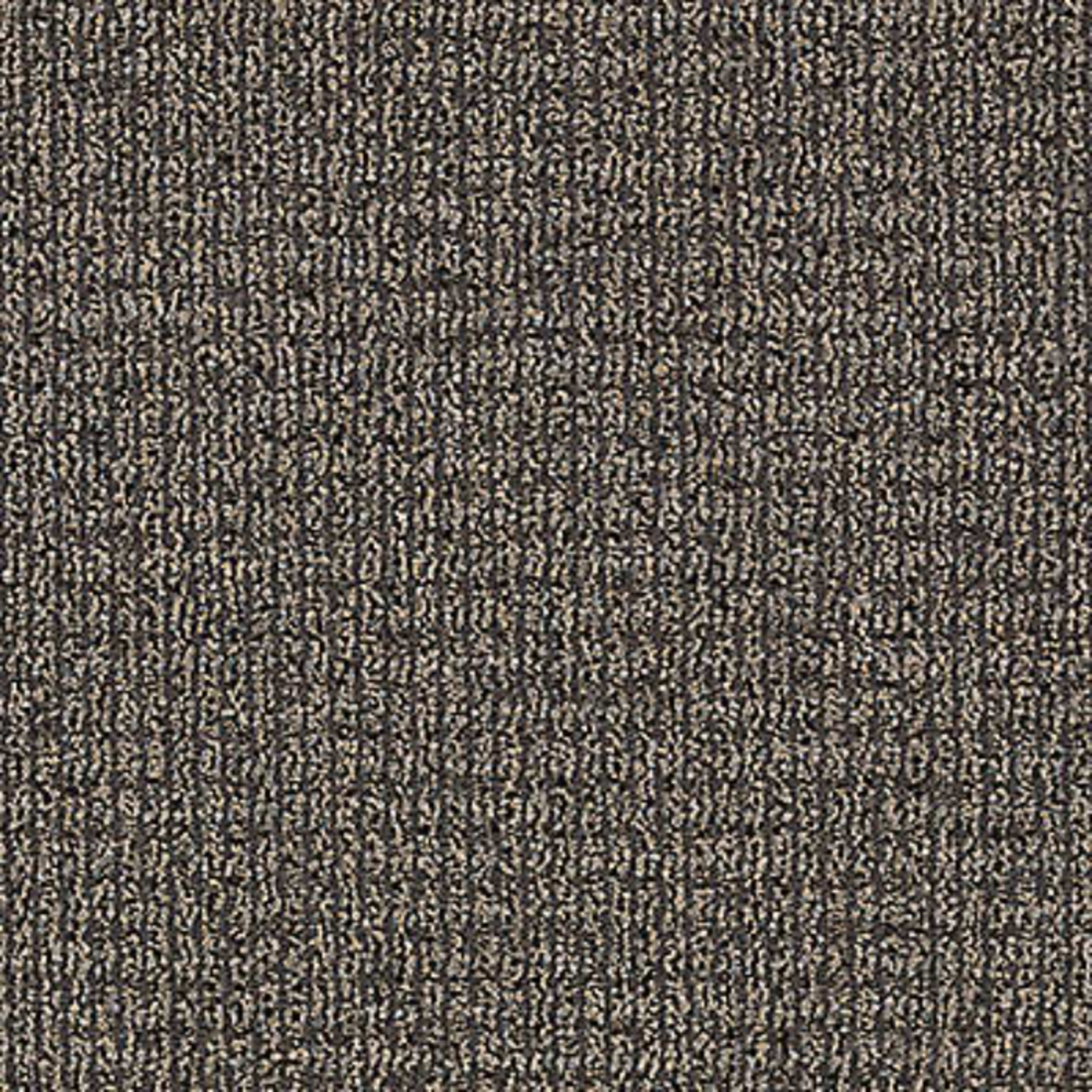 Real Elements in Tinted Gray Carpet