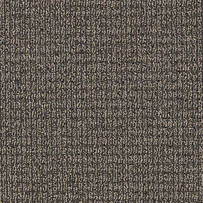 Real Elements in Tinted Gray Carpet