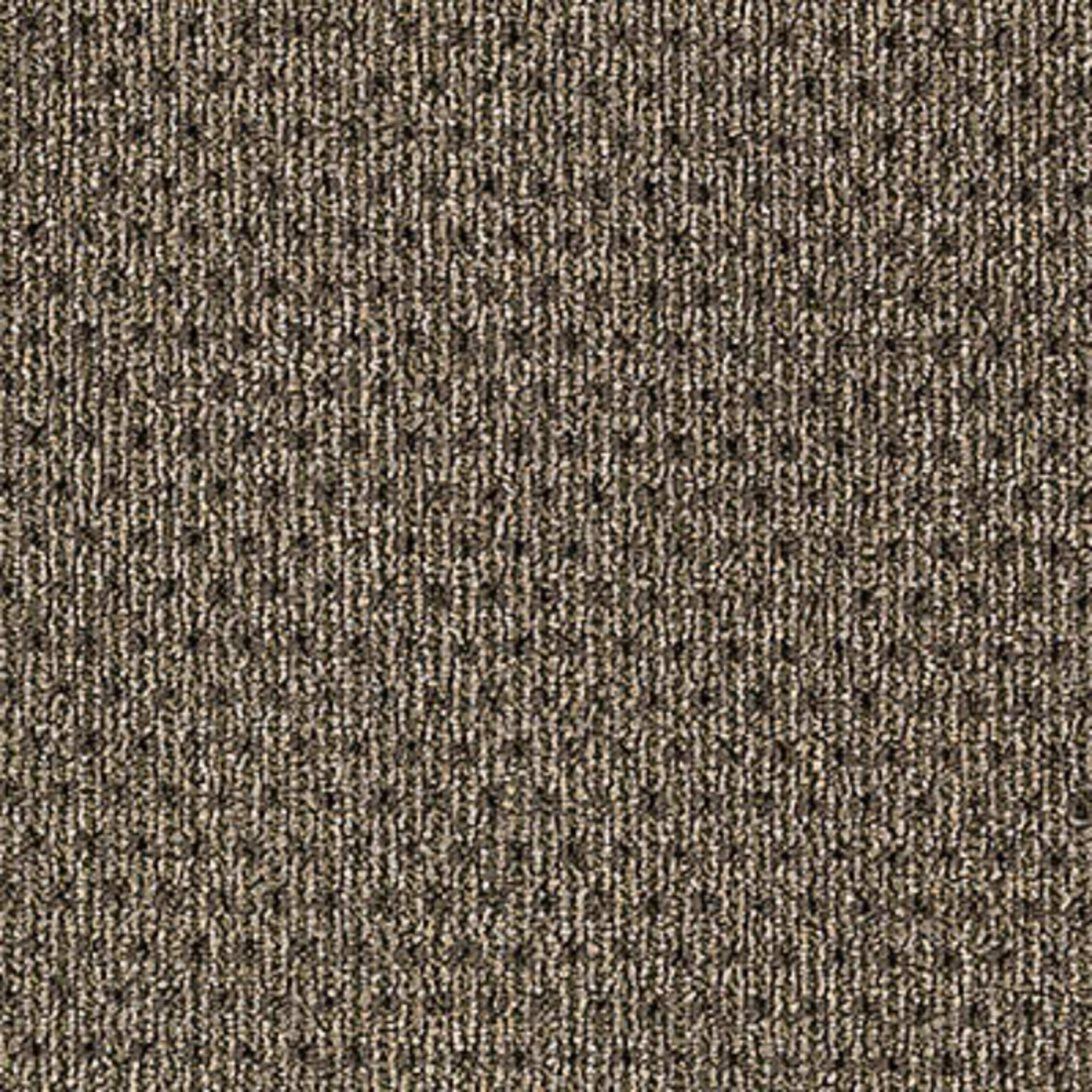 True Form in Tactile Taupe Carpet