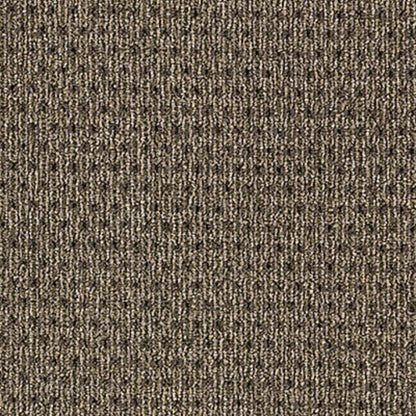 True Form in Tactile Taupe Carpet