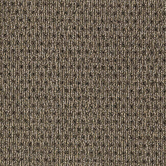 True Form in Tactile Taupe Carpet