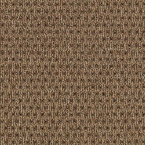 True Form in Textural Beige