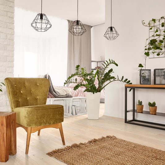 Oak Grove in Toumey Hardwood