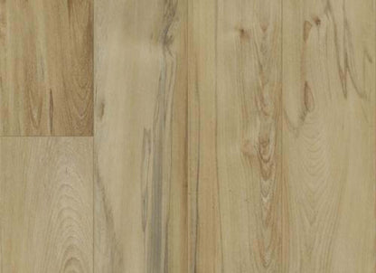 TITAN HD PLUS in Imperial Beech