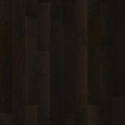MENDOCINO in Midnight Hardwood