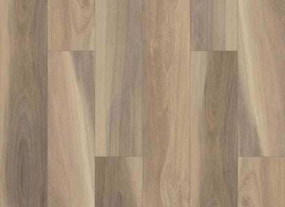 INTREPID HD PLUS in Shawshank Oak
