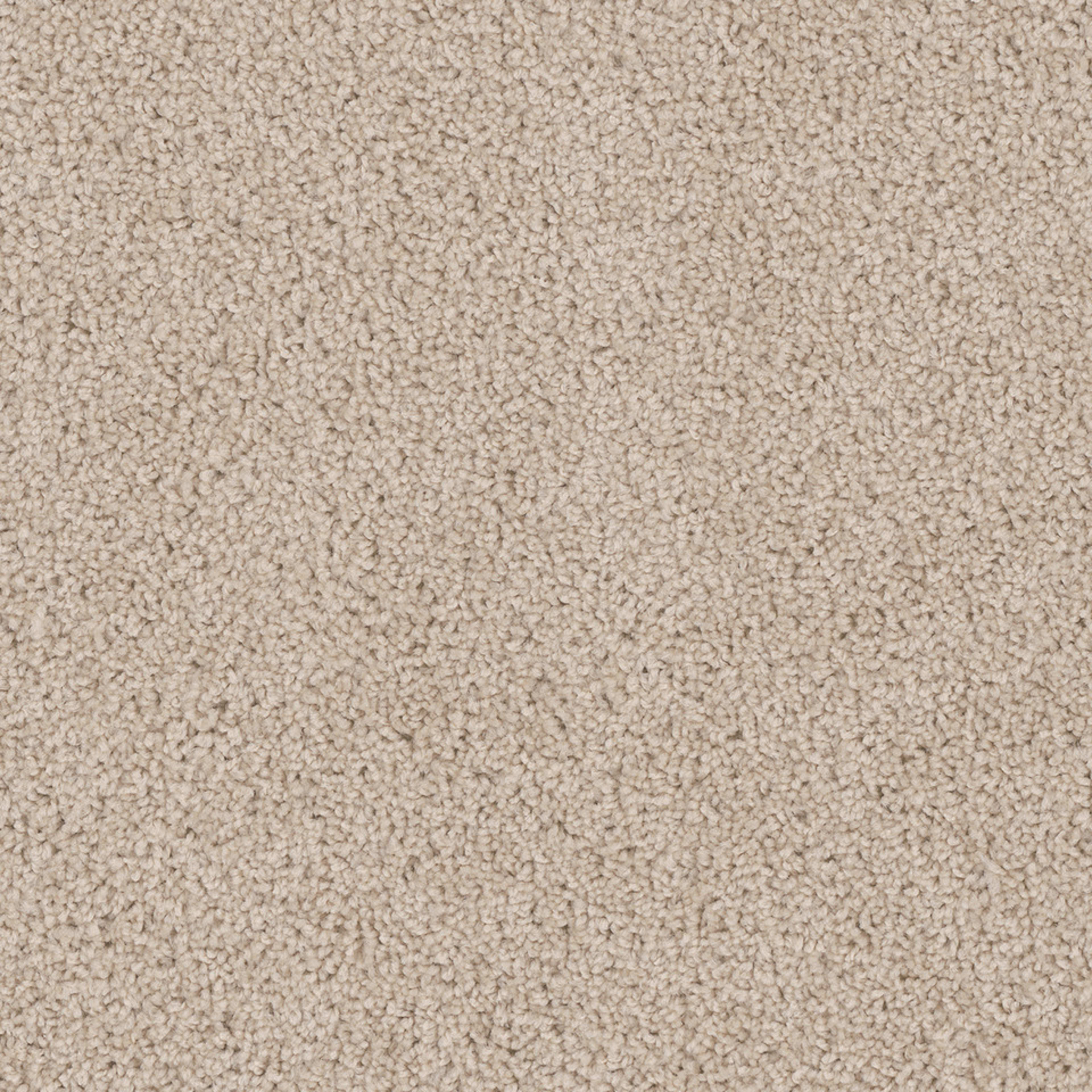 Cedar Creek in Eggshell Carpet
