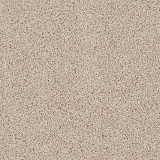Cedar Creek in Eggshell Carpet