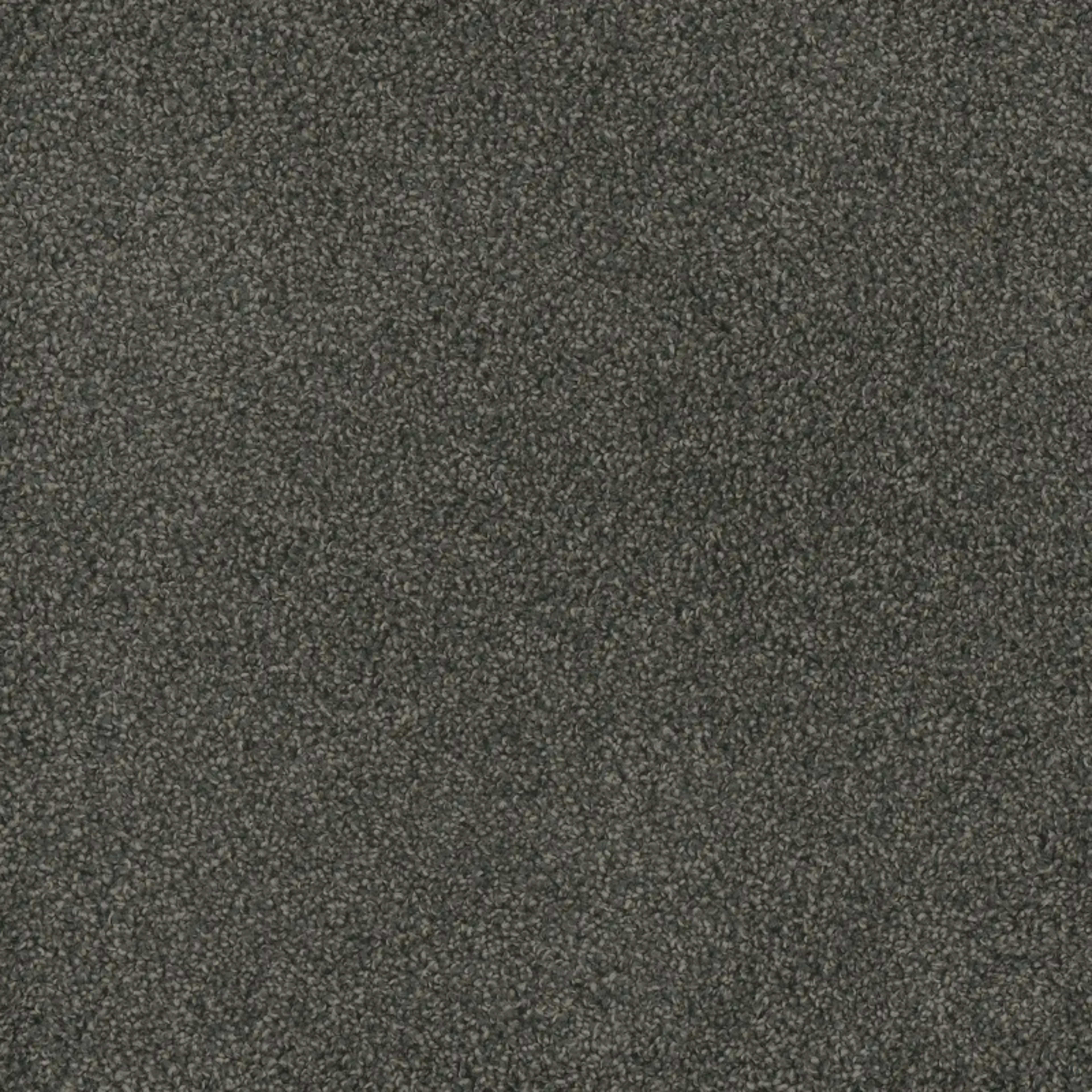 Hammond Creek II in Electron Carpet