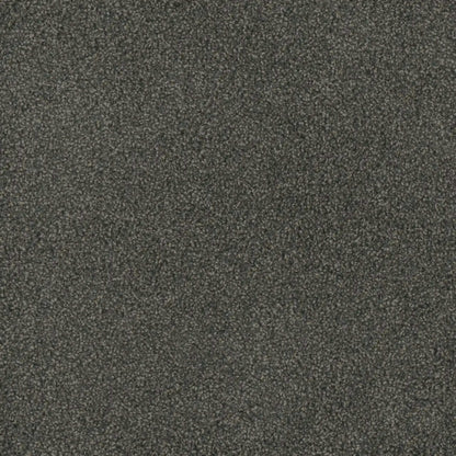 Hammond Creek II in Electron Carpet