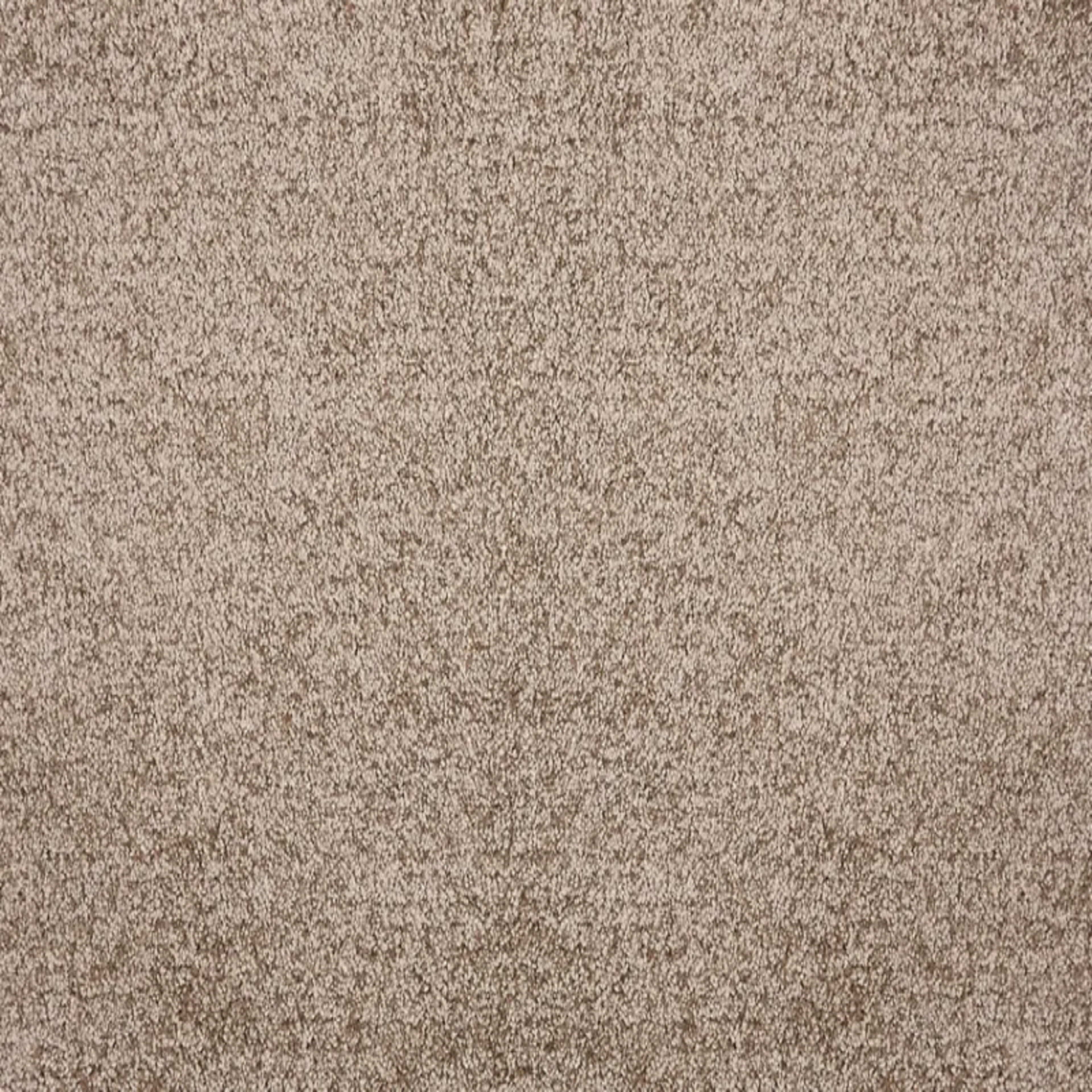 Noble in Caramel Carpet
