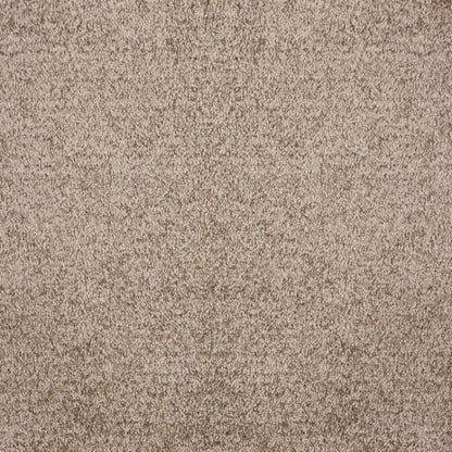 Noble in Caramel Carpet