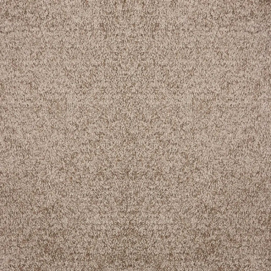 Noble in Caramel Carpet