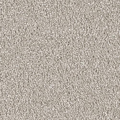 Cape Cod in Silver Lining