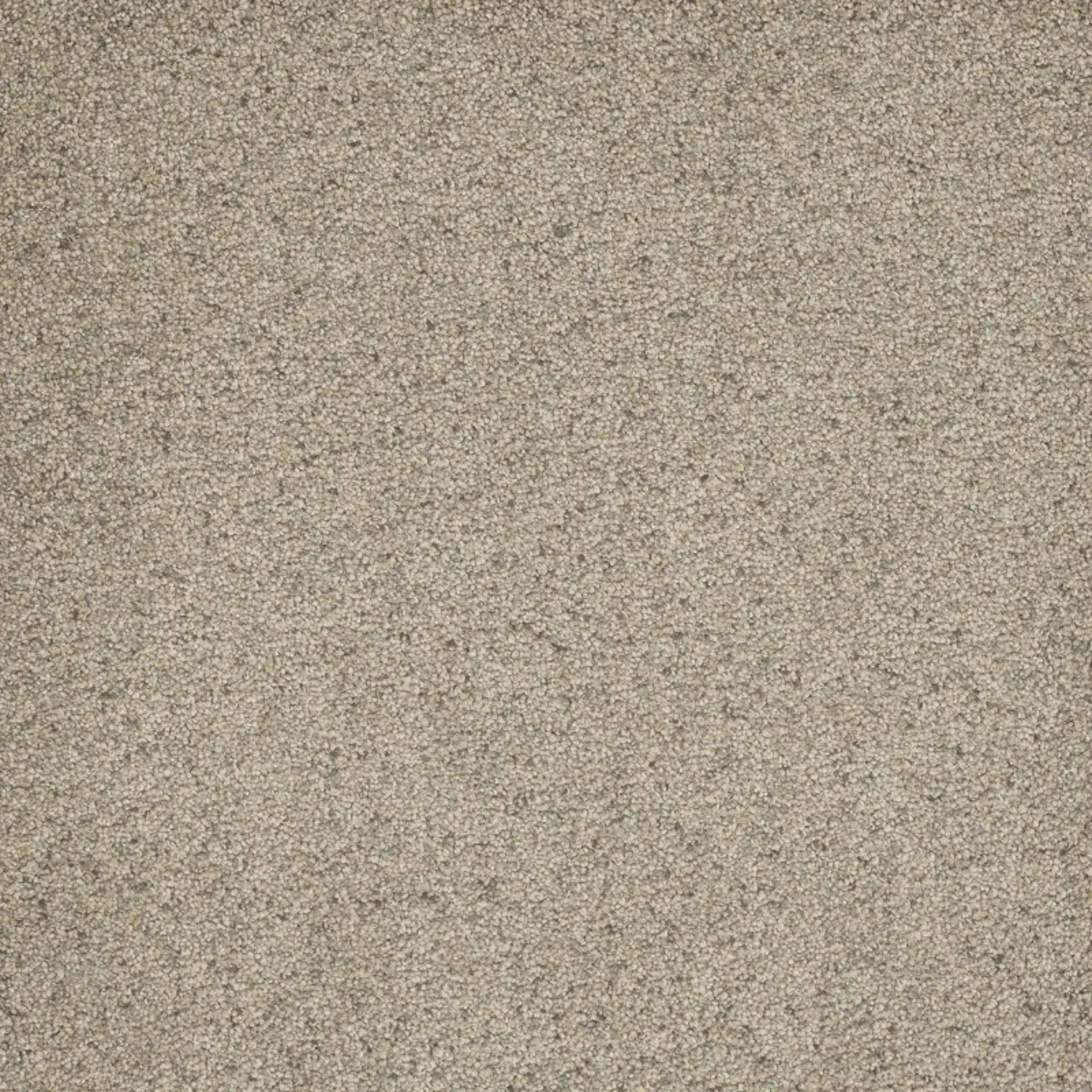 Astounding III in Pacific Breeze Carpet