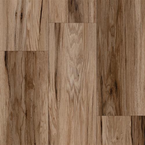 Progen in Spicebark Hickory Fumed