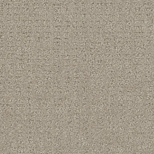 Common Ground in Moon Mist Carpet