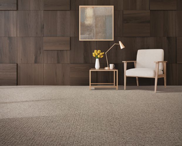 Bountiful Beauty in Desert Accents