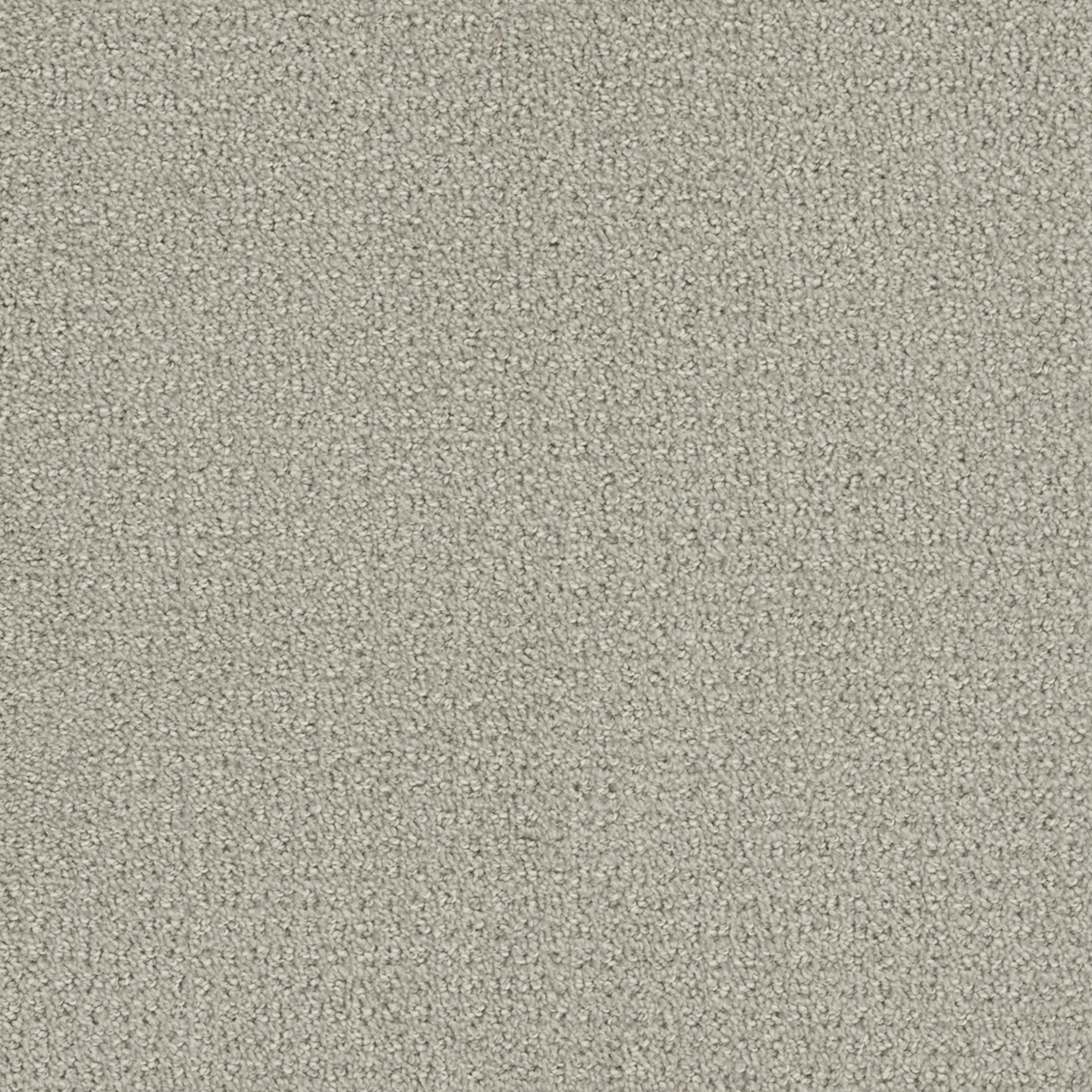 Pinpoint in Snow Cap Carpet