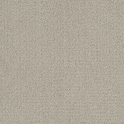 Pinpoint in Snow Cap Carpet