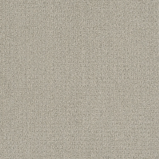 Pinpoint in Snow Cap Carpet