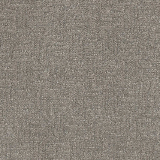 Classic Elements in Empress Carpet