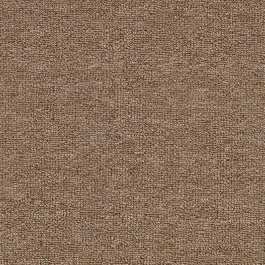 Rule Breaker 26 15Ft in Praline Carpet