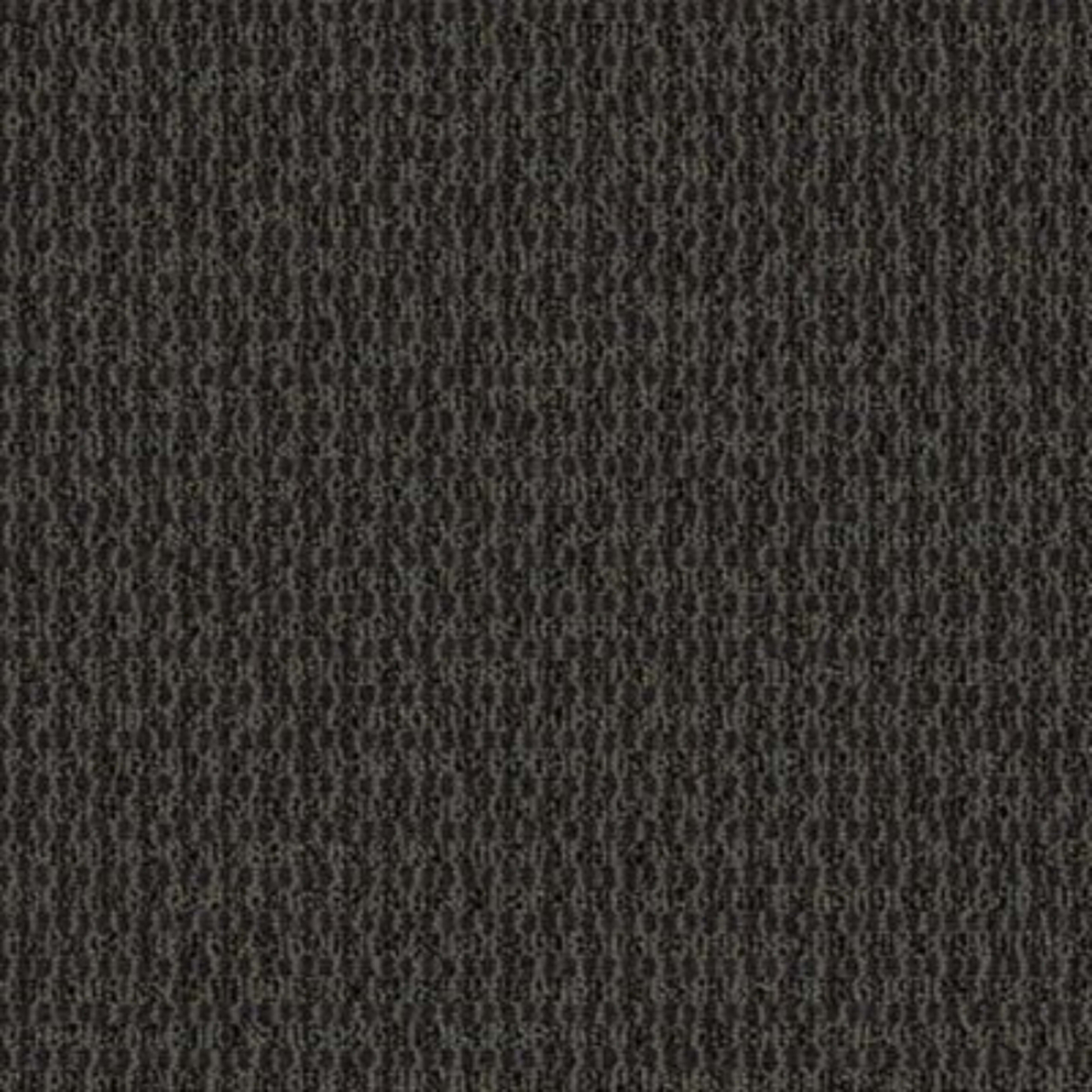 Implore in Specify Carpet Tile
