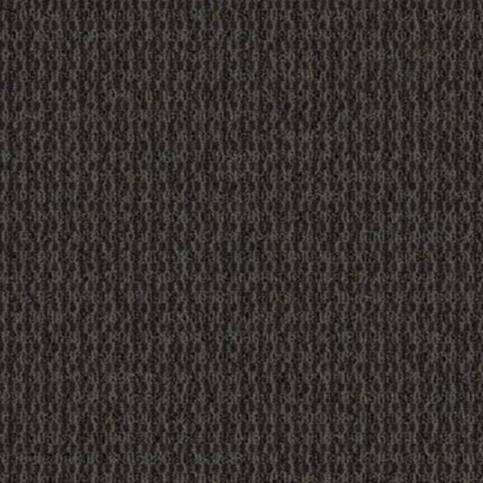 Implore in Specify Carpet Tile