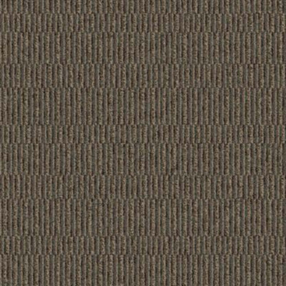 Compel in Describe Carpet Tile