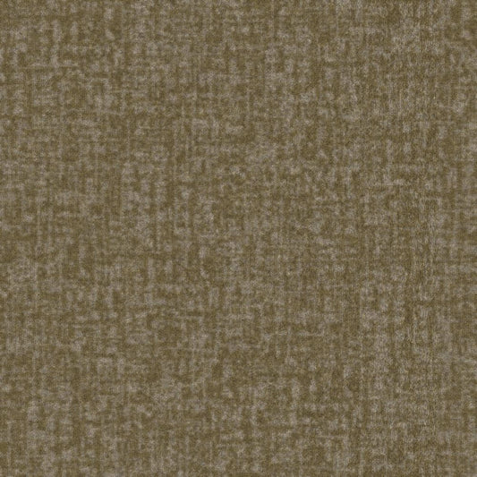 Hardingstone in T0216824e Carpet