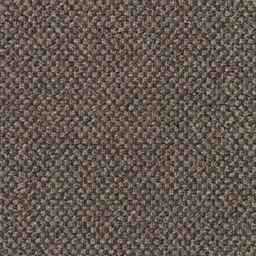 Chex II in Metro Plaza Carpet
