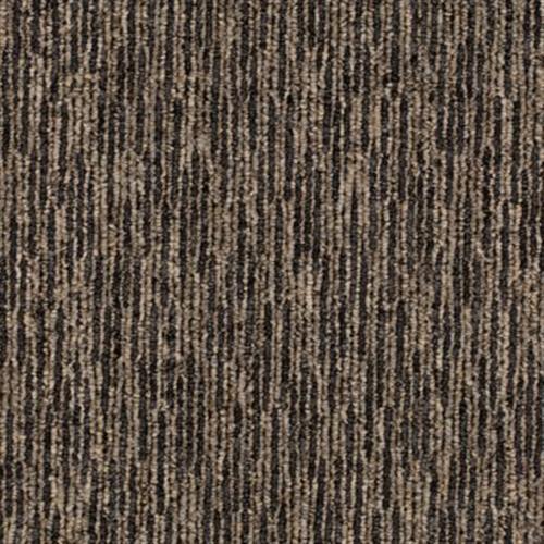 Plaza Point in Downtown Loop Carpet