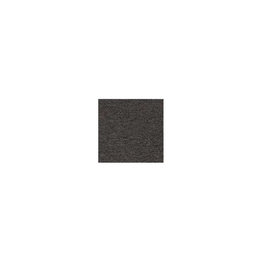 Rule Breaker 26 Wp in Charcoal Carpet