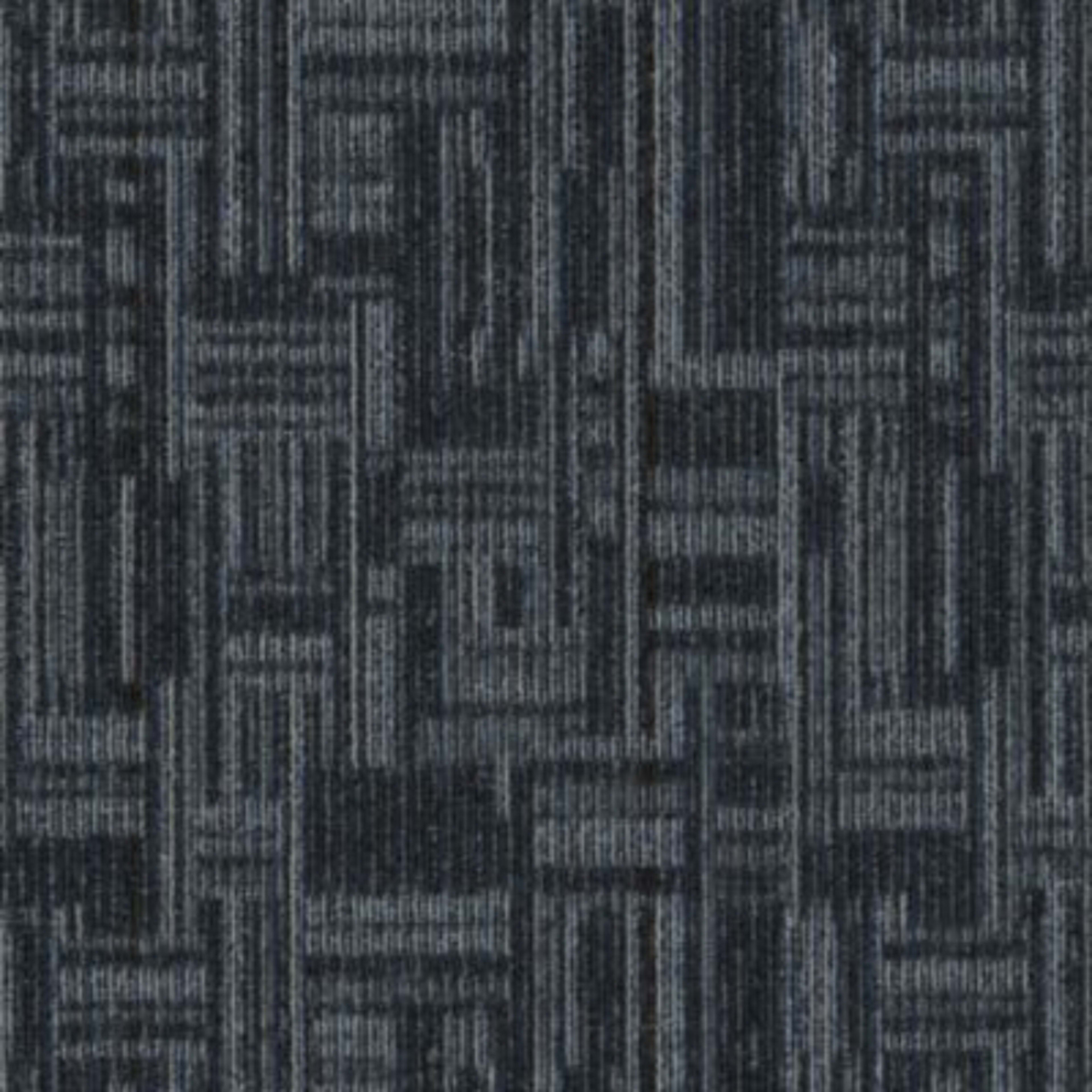 Daily Wire in Trending Now Carpet Tile
