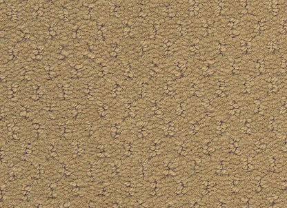 Classic Update