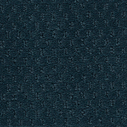 Classic Update in Deep Indigo Carpet