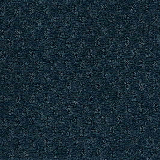 Classic Update in Deep Indigo Carpet