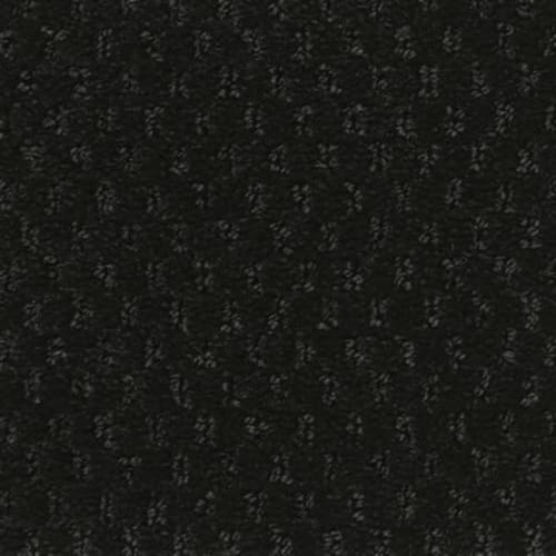 Influencer 36 in Starless Night