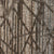 Uptown Vision in Civitan Trail Carpet Tile