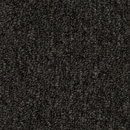 Front & Center in Charcoal Carpet