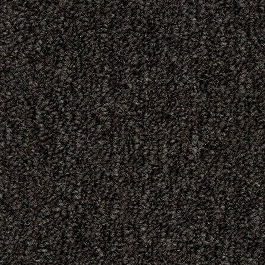 Front & Center in Charcoal Carpet