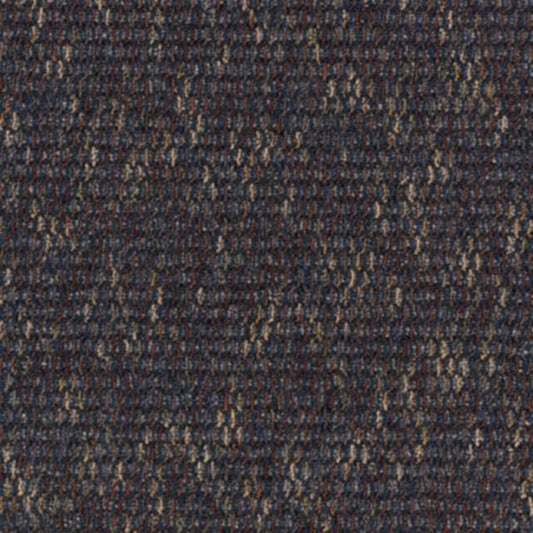 Astonishing View in Wide Focus Carpet