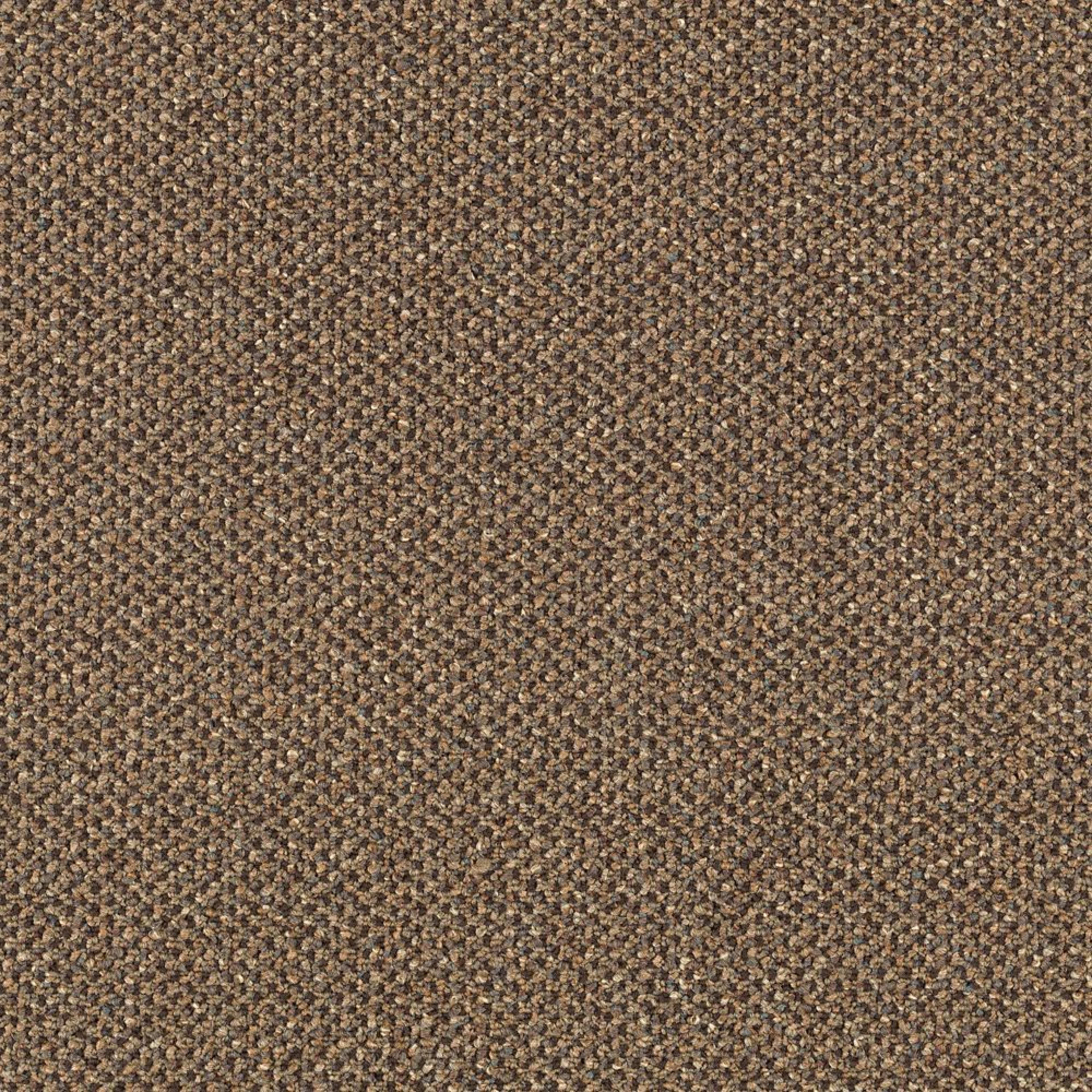 Pure & Simple in Collective Wisdom Carpet