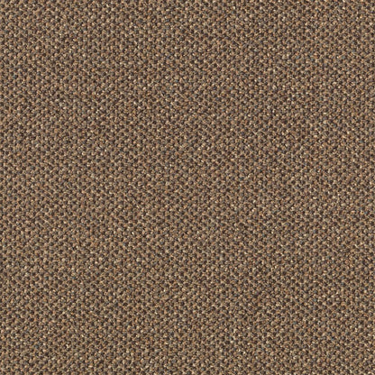 Pure & Simple in Collective Wisdom Carpet